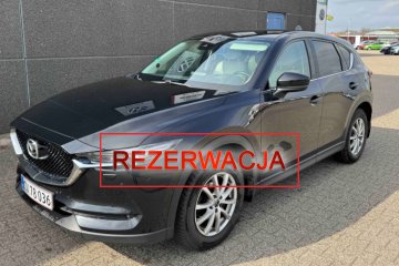 wkrótce w ofercie