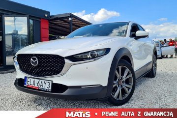2.0BENZ 180KM kamery 360 skóra nawigacja Bose bezwypadek