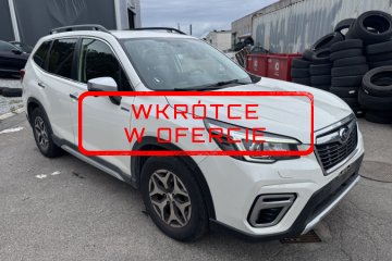 WKRÓTCE W OFERCIE